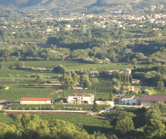 domaine-canta-rainette