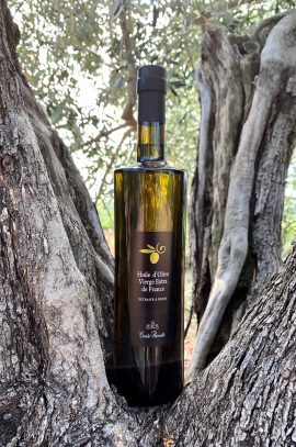 huile-olive-canta-rainette